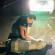 VIDEO: Baby Elephant Hit by Motorcycle Survives after Receiving CPR