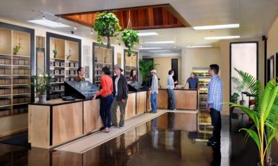Leaning How to Start a Cannabis Dispensary in California