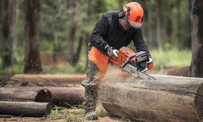Learning About Chainsaw Maintenance and Troubleshooting Tips