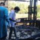 Man Sets Himself Afire After Bid to Reconcile with Wife Fails
