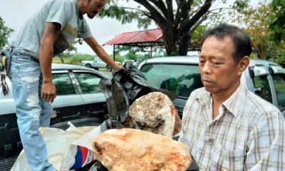 Thai Man Offered $4.2Million for Whale Puke he Found on Beach