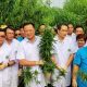 cbd, drug law,Thailand,Medical ,Marijuana, Tour