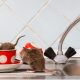 Understanding the Health Implications of Not Having Rodent Control
