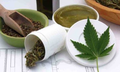 What is the Best Way to Take Cannabis for its Unique Benefits?