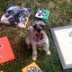 Why Pet Paintings Gifts Are Becoming So Much of a Trend