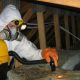 Pest Control Officials in the UK Warn Over Mice Droppings