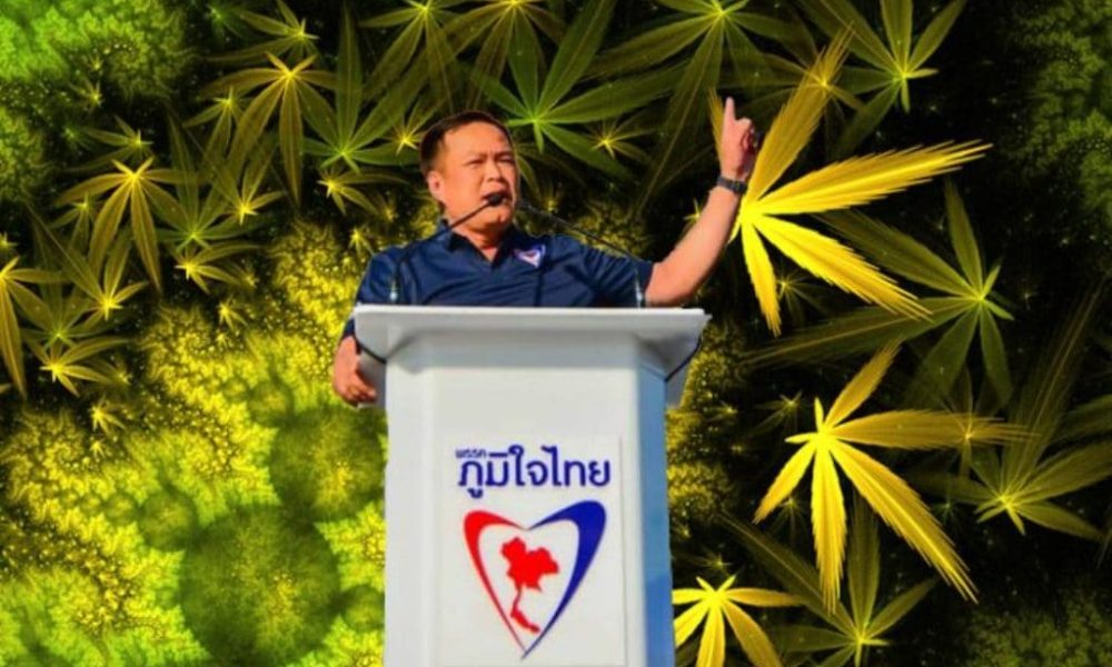 Anyone Can Register to Grow, Trade and Have Hemp in Thailand