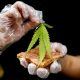 Hospital in Thailand Now Serving Patients Marijuana Dishes and Drink