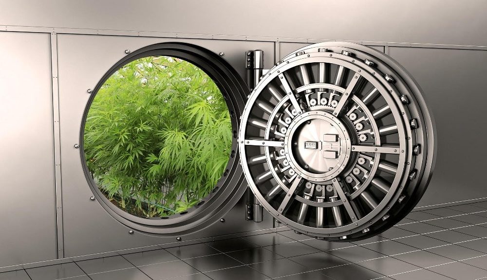 Learn How to Cash in on the Cannabis Business Phenomenon