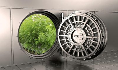 Learn How to Cash in on the Cannabis Business Phenomenon