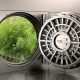 Learn How to Cash in on the Cannabis Business Phenomenon