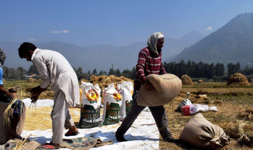 Vietnam Buys Rice from India for the First Time in Decades