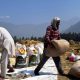 Vietnam Buys Rice from India for the First Time in Decades