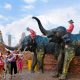 Thailand,Songkran covid-19