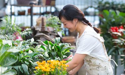 How to Find and Choose the Right Florist for Special Occasions