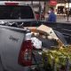 Man Finds Cache of Drugs in Pickup he Bought a Vehicle Auction