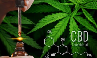 How CBD Oil May Be Able to Aid Pain Management