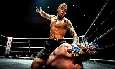 Top-MMA-Training-Gloves.jpg