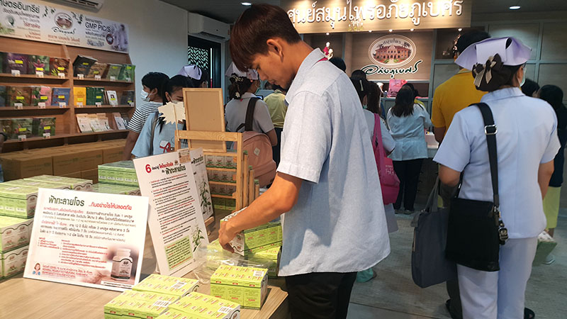 Green chiretta (fah talai jone) boosted immunity