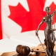 How You Can Learn From Malliha Wilson Throughout Your Law Career