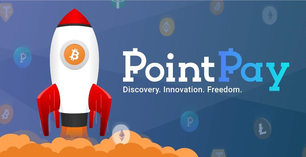 PointPay: Is it Profitable to Invest in DeFi or CeFi Project Tokens?