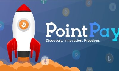 PointPay: Is it Profitable to Invest in DeFi or CeFi Project Tokens?