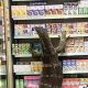 VIDEO: Giant Monitor Lizard Invades 7-Eleven Store in Central Thailand