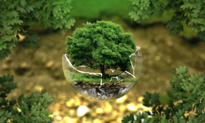 6 Tips on How to Be More Eco-Conscious While Traveling