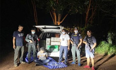 Border Patrol Police Seize 400 Kilograms of High-Grade Marijuana