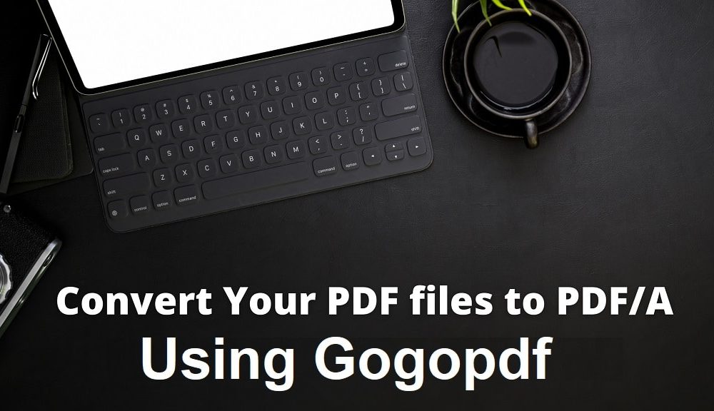 Enhance Your Files: Convert PDF to PDFA With GogoPDF