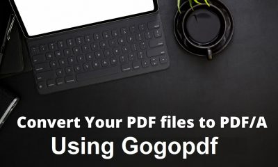 Enhance Your Files: Convert PDF to PDFA With GogoPDF