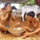 Indian Doctors Warn Over Using Cow Dung as Covid-19 Cure