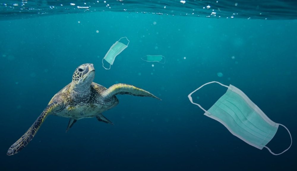Ocean Health: Preparations Underway East Asian Seas Congress 2021