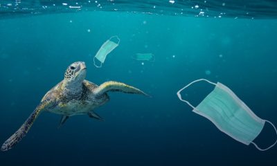 Ocean Health: Preparations Underway East Asian Seas Congress 2021