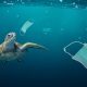 Ocean Health: Preparations Underway East Asian Seas Congress 2021