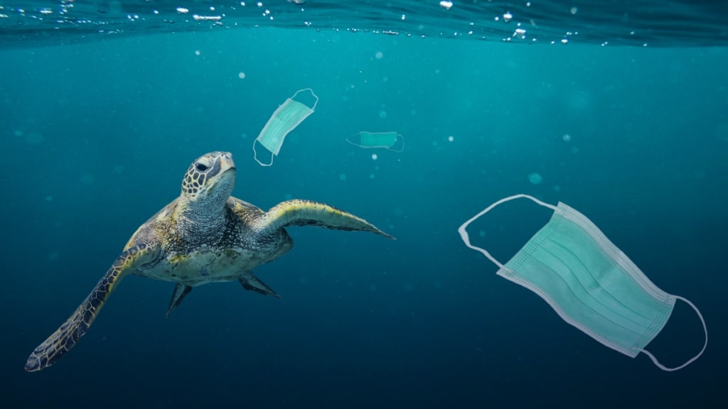 Ocean Health: Preparations Underway East Asian Seas Congress 2021