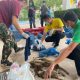 88 Macaque Monkey's Destined for Dinner Tables in China Saved