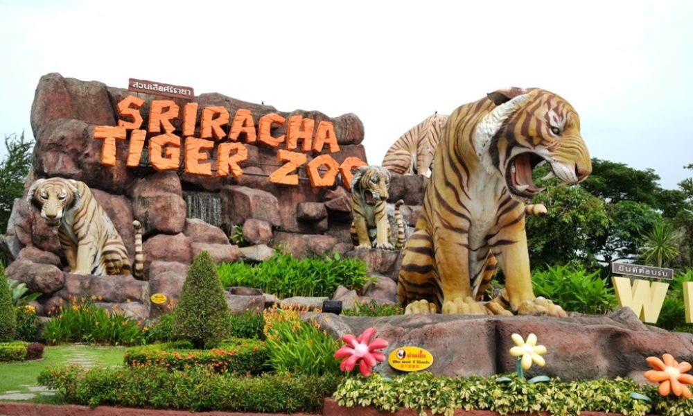 Thailand's Sriracha Tiger Zoo Closes its Doors after 24 Years in Business