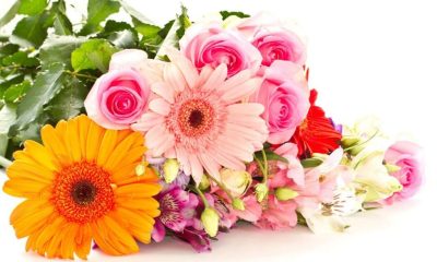 The Most Gorgeous Flowers That Will Actually Last