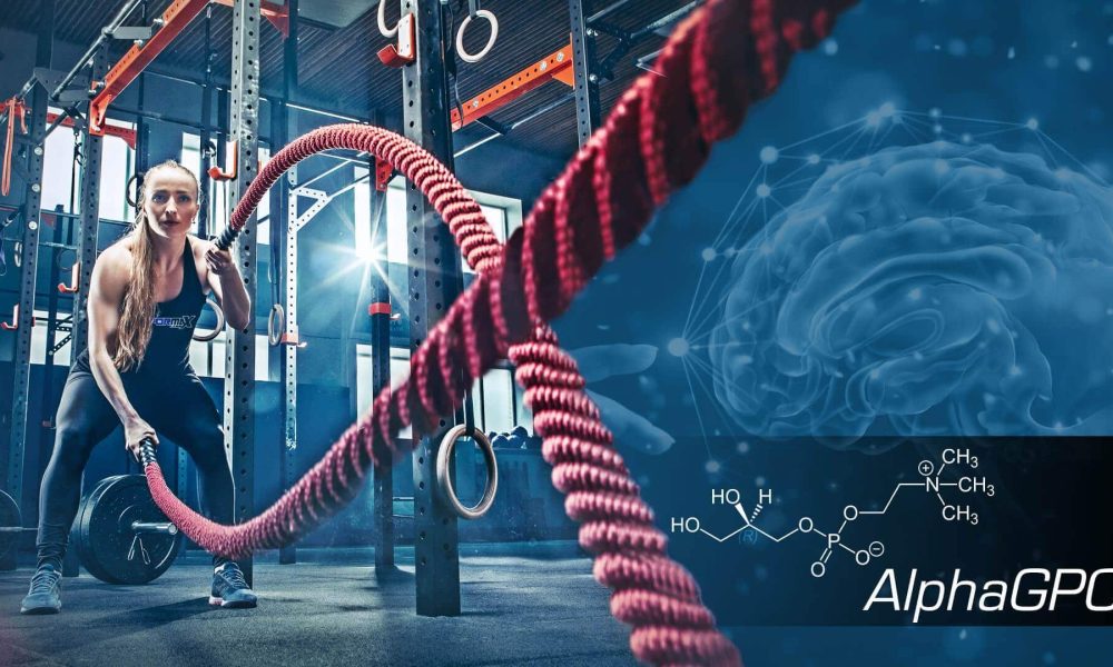 Taking Alpha-GPC in Your Daily Dose of Supplements