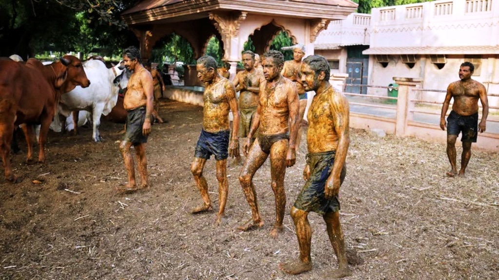 no concrete scientific evidence that cow dung or urine works