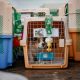 Rabies,Soi Dog Foundation Calls on US CDC to Revise Dog Import Ban