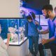 6 Proven Tips on How to Set Up the Perfect Fish Tank