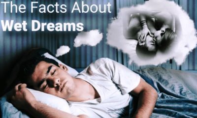 7 Myths about Nightfalls and What You Need to Know Wet Dreams