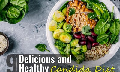 9 Delicious Healthy Candida Diet Friendly Recipes to Help Heal Your Gut