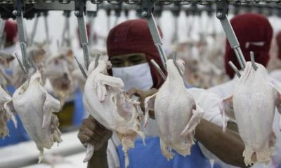 Thai Factory Workers Accused of Being a Covid-19 Super Spreaders