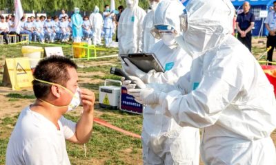 China Confirms First Human Case of Rare Bird Flu H10N3