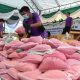 Meth Production and Drug Trade Growing Despite Covid Restrictions