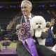 Star dog handler Bill McFadden injured in car crash on way to Westminster Dog Show