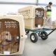 US Bans Dogs from Thailand and other Countries Over Rabies Risk